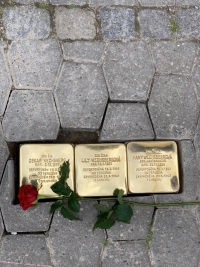Stolpersteine in Boskovice 