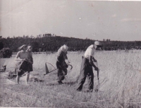 Momentka ze života rodiny Krouzových v 50. letech v Chotěšově u Podbořan
