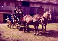 A horse car used at friends' weddings, with which the witness also wandered around Šumava