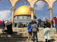 Jakub Szántó, Jeruzalém 2014