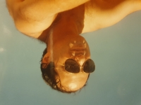 1986, Michal in Israel.

