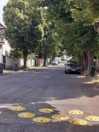 Lipová alej vysázená Josefem Moravcem, na počest své ženy Kristýny