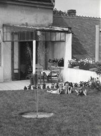 Na terase tiskárny, Anna Krčmařová s vnoučaty Dagmar a Eduardem, 1958