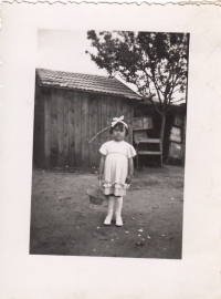 Na dvoře domu v Kvítkovicích, 1941 