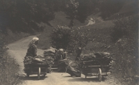 Poklad z půdy - Ženy odpočívají při jízdě s nákladem větví, Králicko, 20. léta 20. století