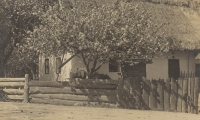Poklad z půdy - Vesnické stavení na jaře, 20. léta 20. století
