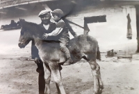 Bratr Marie Hromádkové s otcem v Zábědově, asi 1938