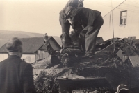 Běloves - čeští dobrovolníci vytahují z obrněnce zabitého příslušníka zbraní SS