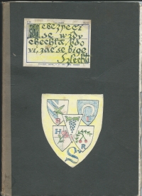 1963-1965 Luboš byl členem party zvané Šlechta. Kronika
