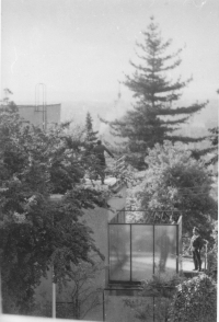 StB se dobývá do bytu manželů Hromádkových,  Praha 6 Na Babě 1978
Foto č. 2