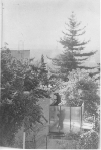 StB se dobývá do bytu manželů Hromádkových Na Babě, 1978
Foto č. 3