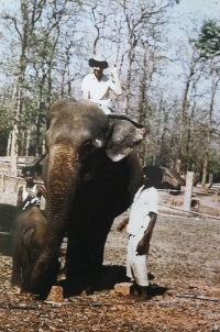 Forest Camp - Dubare 1963, historical photography 