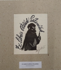 Ukázka tvorby Oldřicha Páleníčka