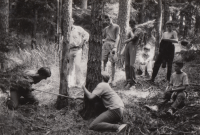 Skautský dřevorubecký den ve Veselí nad Moravou, 90. léta 20. století