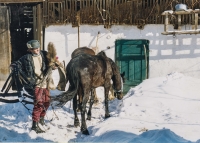 Zima dorazila na Gerník, Josef Merhaut se svými koňmi, r. 2004