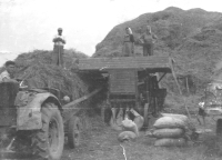 Žně ve státním statku Čejetice u Strakonic, 1955