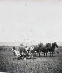 Žně za otce Břetislava Netolického st., 1942