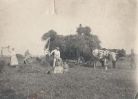 Žně za pradědy Jana Netolického, 1880