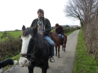 Jiří Reidinger, Anglie 2015