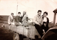 Field work in the United Agricultureal Cooperative. 1960's