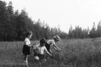 The Bauer siblings in the 1950s