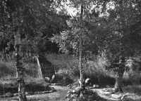 Žalov, asi poválečná léta