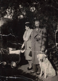Rodiče s pamětníkem v kočárku a se psem Barriquem, Brno, 1950