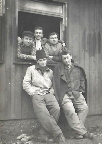 Bramborová brigáda, Jeseníky 1958