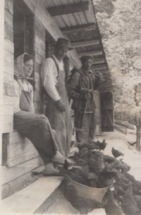 Grandfather Fr. Frnka at the henhouse of the JZD in Dolní Paseky