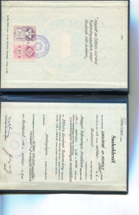 Pedagogy university degree from 1985