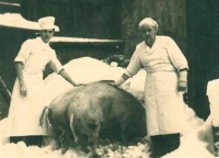 V restauraci v Jablonci nad Nisou, kam si vyžádal majitel pan Hlaváček paní Brücknerovou z tábora v Rýnovicích na práci