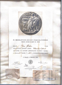 3. mezisletové závody Československé obce sokolské, 1928