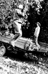 Michal Polman na brigádě