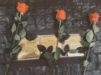 Stones of the disappeared dedicated to the memory of Lubomír Reichsfeld's grandparents Emil and Eliška Reichsfeld and Lubomír Reichsfeld's aunt Eva Reichsfeld. The revealing took place in 2020.
