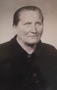 Františka Fibichová (roz. Holíková), matka Blaženy Strachotové