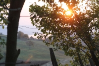 Pohled přes pastviny na Dunaj, o kterém Barbora Jelínková vypráví: „Z okna jsme se dívali kotlinou přímo na Dunaj, vzdušnou čarou od nás protékal asi jen jeden kilometr. Ráno, než vyjeli všichni na svá pole, bylo ticho a my jsme poslouchali, jak hučí.“ Snímek pořízen nedaleko rodného domu ve Svaté Heleně, říjen 2021