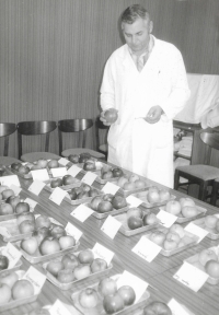 Organizing a fruit exhibition in Central Bohemian Bakeries, 1987