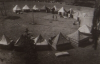 Skautský tábor Arnoštov, 1950