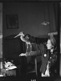 Matka Věra Jirousová, Petrkov, 1969