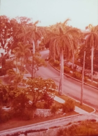 Výhled na ulici vedoucí do Havany z domu na 6. ulici v Miramaru, ve kterém bydlel Zdeněk Musil s rodinou