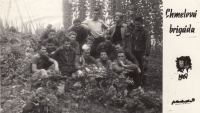A hop-picking summer job of the boys from the Náchod industrial school, 1961 
