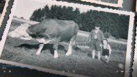 Jiří Fialawith his brother while grazing the cow