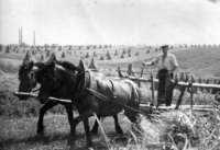 Otec Josefa Hlubka František na poli