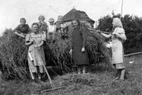 Žně v Kobeřicích