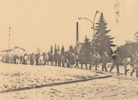 Akce Řetěz lidských rukou ve Veselí nad Moravou, 10. prosince 1989 na Den lidských práv 