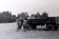 Sběr kamení v rámci brigády socialistické práce, 1988