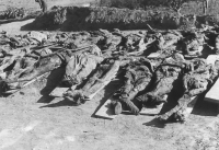 Exhumace hromadných hrobů u Malé pevnosti v Terezíně ve dnech 30. srpna až 4. září 1945 (foto Karel Šanda)