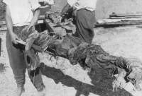 Exhumace hromadných hrobů u Malé pevnosti v Terezíně ve dnech 30. srpna až 4. září 1945 (foto Karel Šanda)