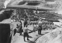 Exhumation of mass graves near the Small Fortress in Terezín from August 30 to September 4, 1945 (photo by Karel Šanda)