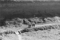 Exhumace hromadných hrobů u Malé pevnosti v Terezíně ve dnech 30. srpna až 4. září 1945 (foto Karel Šanda)